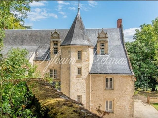 Vente Propriété 18 pièces 1000 m2 Tours