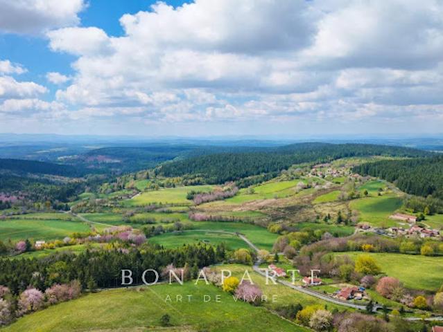 Vente Propriété 18 pièces 543 m2 Saint Régis du Coin