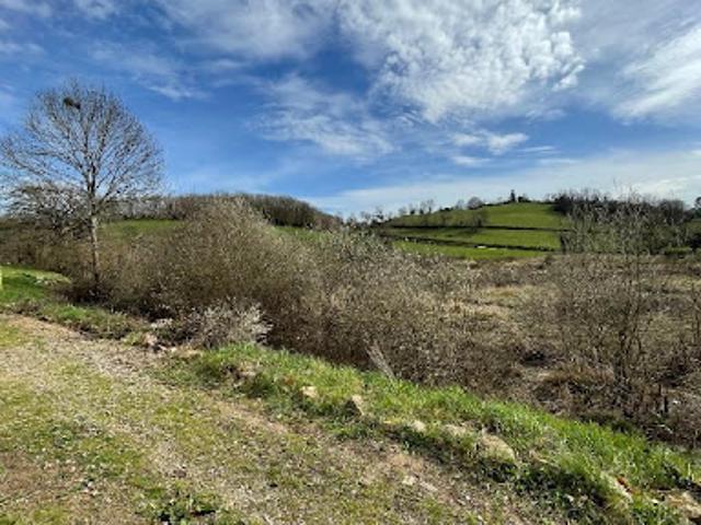 Vente Propriété 18 pièces 560 m2 Dommartin