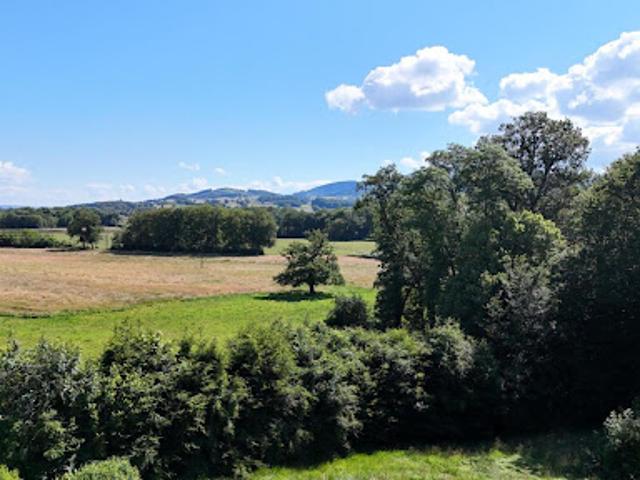 Vente Propriété 18 pièces 515 m2 Laizy