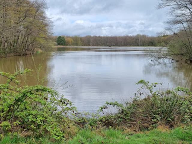 Vente Propriété 190 m2 Saint Fargeau