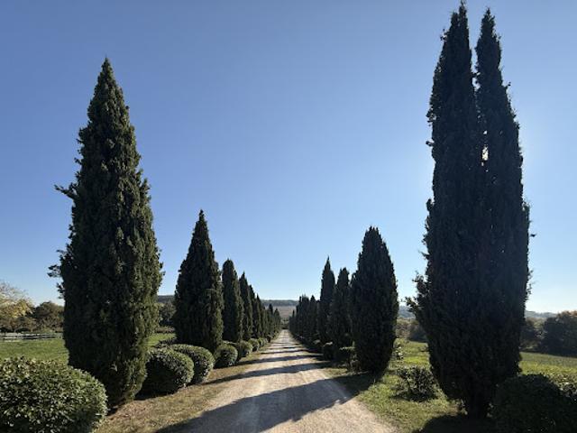 Vente Propriété 19 pièces 671 m2 Vic Fezensac