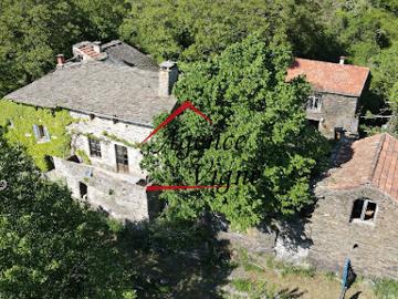 Vente Propriété 20 pièces 280 m2 Malons et Elze