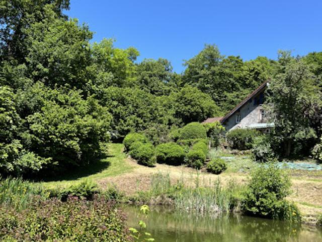 Vente Propriété 20 pièces 330 m2 Fresse
