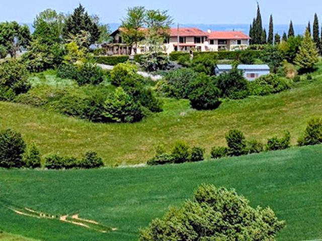 Vente Propriété 20 pièces 444 m2 Montesquieu Volvestre