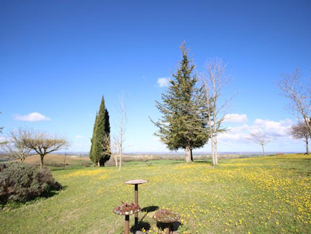 Vente Propriété 20 pièces 444 m2 Montesquieu Volvestre