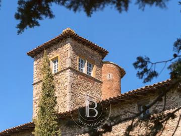 Vente Propriété 20 pièces 435.7 m2 Limonest