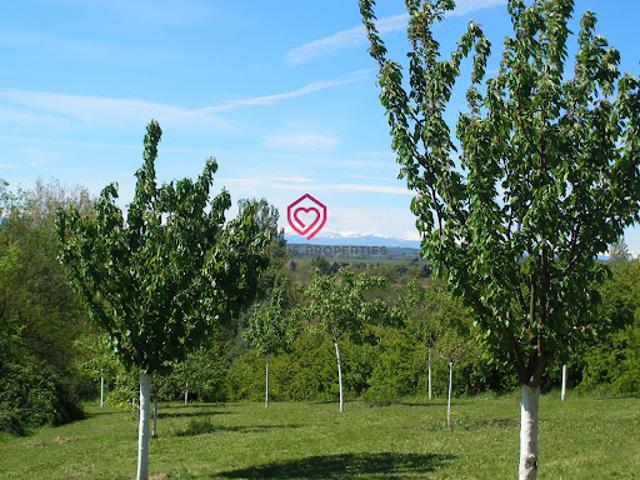 Vente Propriété 20 pièces 567 m2 Castelnaudary