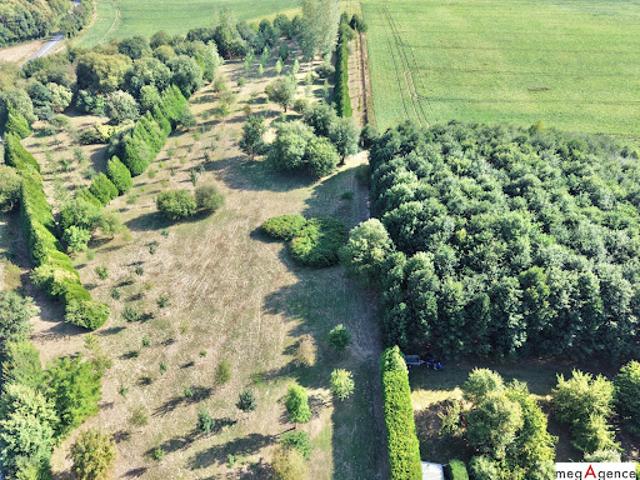 Vente Propriété 20 pièces 590 m2 Hédauville