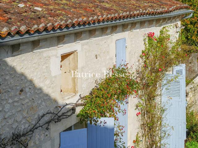 Vente Propriété 20 pièces 670 m2 Cognac