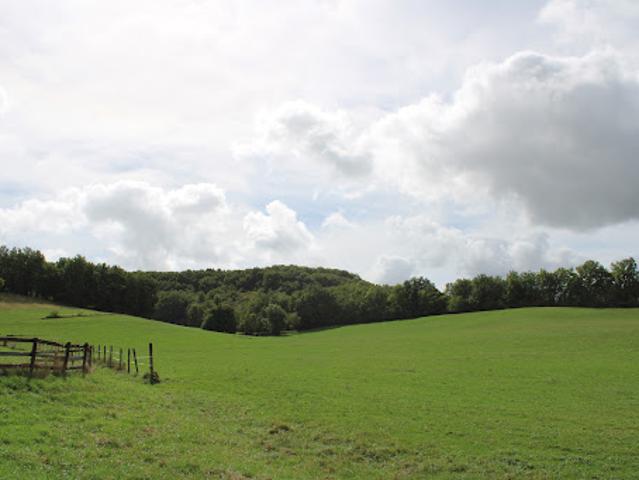 Vente Propriété 21 pièces 423 m2 Villeréal