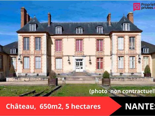Vente Propriété 21 pièces 600 m2 Carquefou