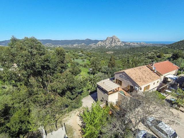 Vente Propriété 21 pièces 920 m2 Saint Florent