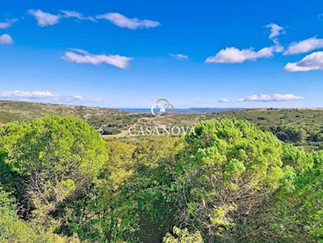 Vente Propriété 24 pièces 755 m2 Montpellier