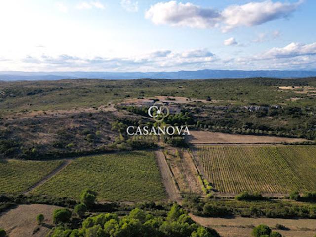 Vente Propriété 24 pièces 755 m2 Montpellier