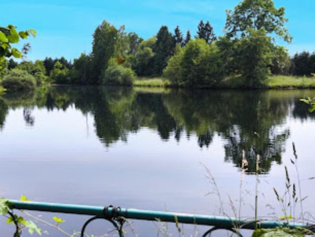 Vente Propriété 25 pièces 506 m2 Saulcy sur Meurthe