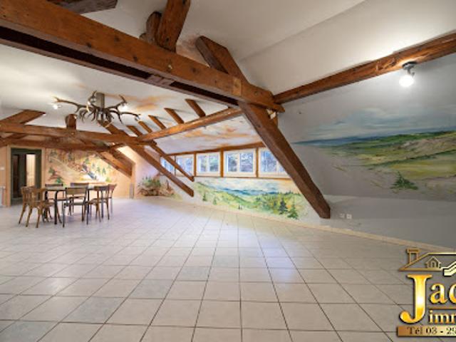 Vente Propriété 25 pièces 630 m2 Sainte Marie aux Mines
