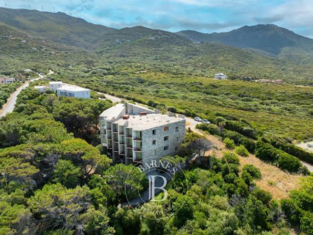 Vente Propriété 30 pièces 1600 m2 Centuri