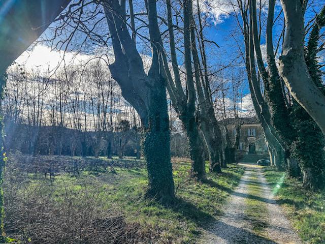 Vente Propriété 30 pièces 1000 m2 Tresques