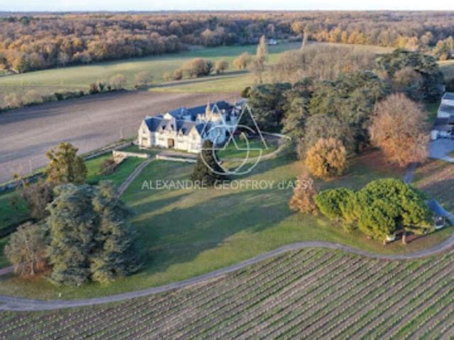 Vente Propriété 30 pièces 1200 m2 Saix