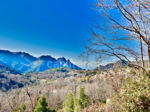 Vente Propriété 36 pièces 764 m2 Evisa