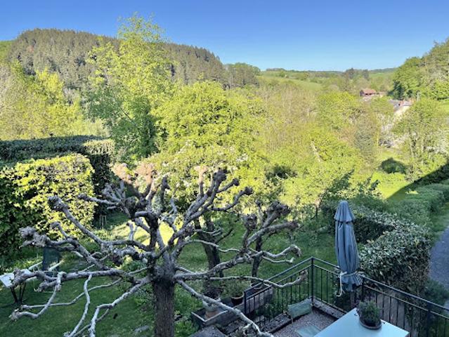 Vente Propriété 7 pièces 247 m2 Larochemillay