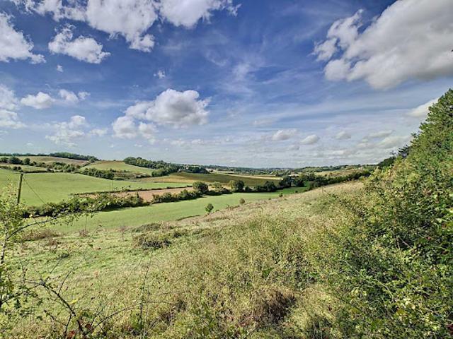 Vente Propriété 7 pièces 286 m2 Marciac