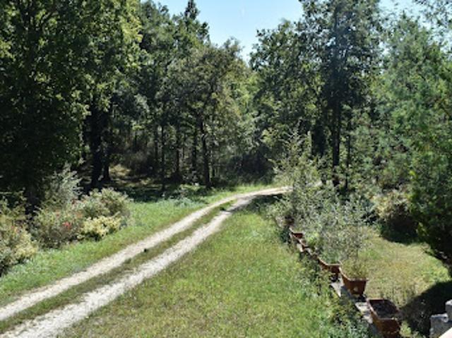 Vente Propriété 7 pièces 280 m2 Rouffignac Saint Cernin de Reilhac
