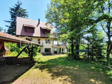 Vente Propriété 7 pièces 312 m2 Andlau