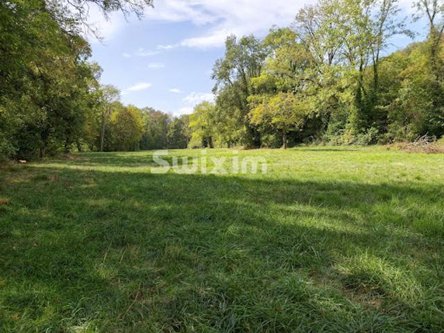 Vente Propriété 7 pièces 342 m2 Nuits Saint Georges