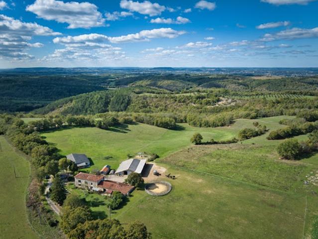 Vente Propriété 7 pièces 400 m2 Thezac
