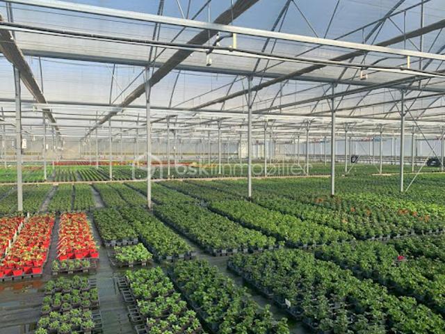 Vente Propriété 4 pièces 120 m2 Nogaro