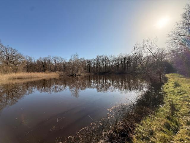 Vente Propriété 4 pièces 130 m2 Vendoeuvres
