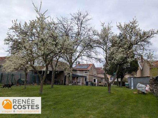 Vente Propriété 4 pièces 85 m2 Pareid
