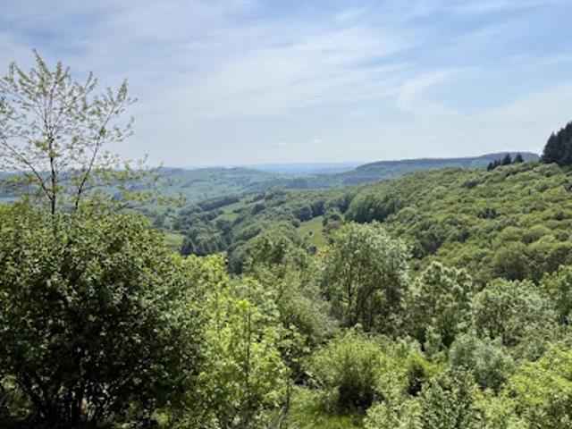 Vente Propriété 5 pièces 134 m2 Saint Symphorien de Marmagne