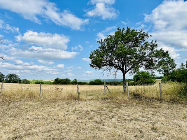 Vente Propriété 5 pièces 158 m2 Blars