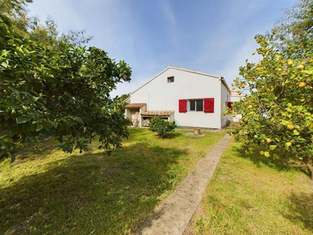 Vente Propriété 5 pièces 167.59 m2 Cuttoli Corticchiato