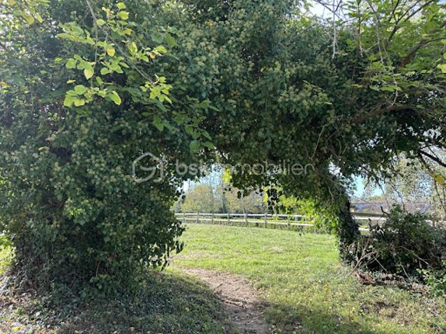 Vente Propriété 5 pièces 210 m2 Toulouse