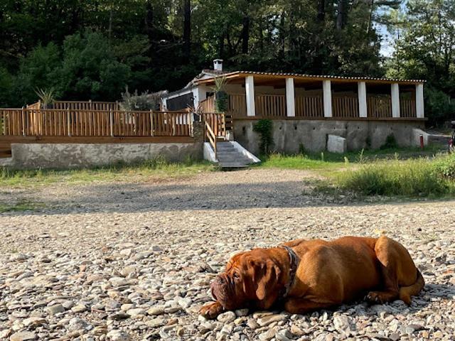 Vente Propriété 6 pièces 102 m2 Peyremale