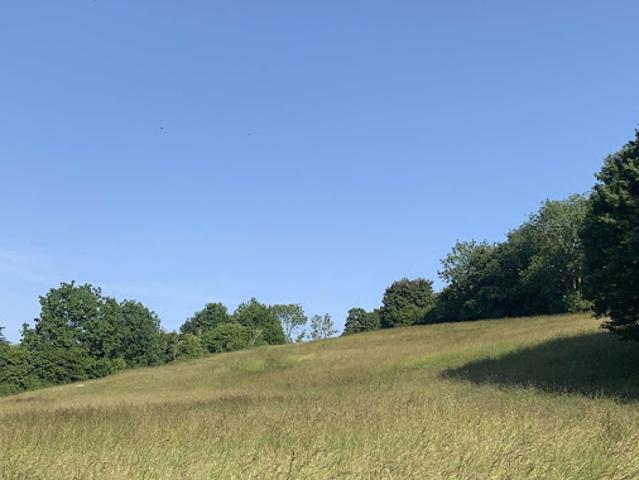 Vente Propriété 6 pièces 150 m2 Livarot