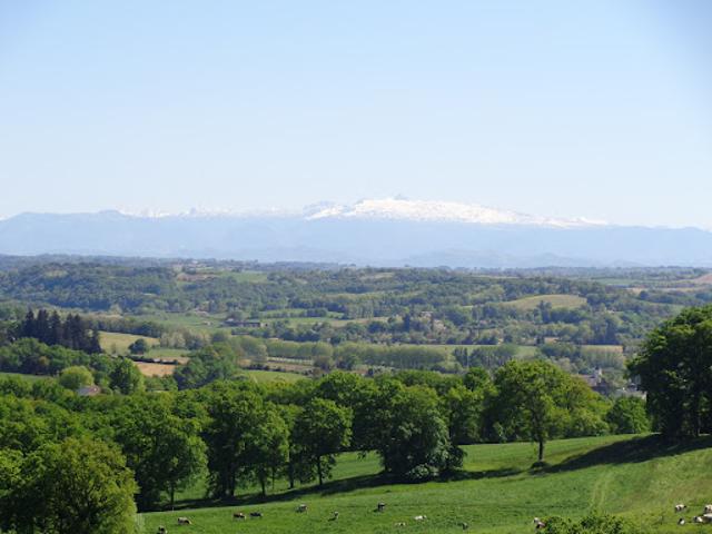 Vente Propriété 6 pièces 170 m2 Baigts de Béarn