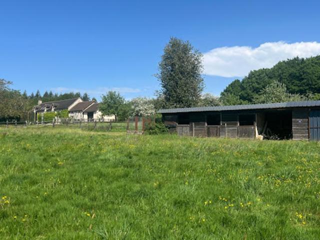 Vente Propriété 6 pièces 180 m2 Mortagne au Perche