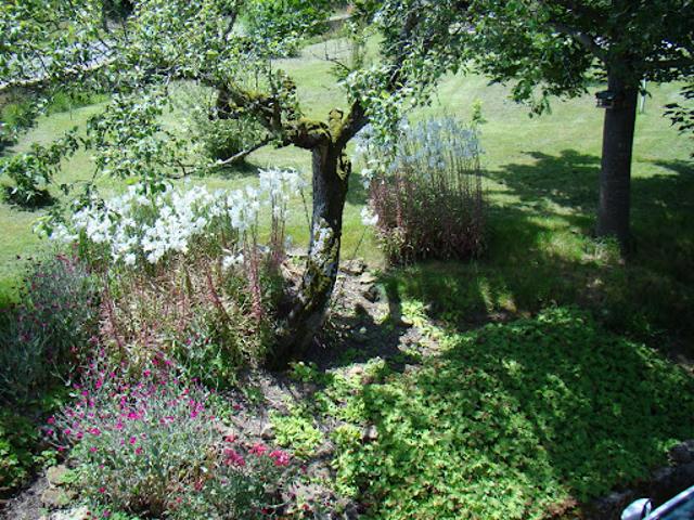 Vente Propriété 6 pièces 211 m2 Mazille