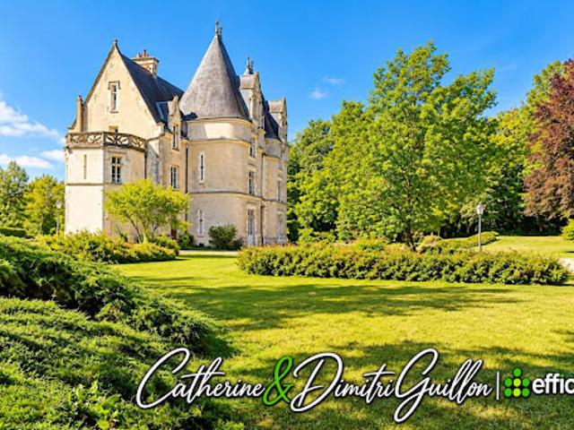 Vente Propriété 76 pièces 5000 m2 Vouille