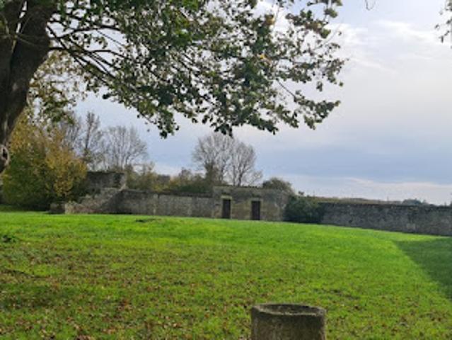 Vente Propriété 8 pièces 175 m2 Migron