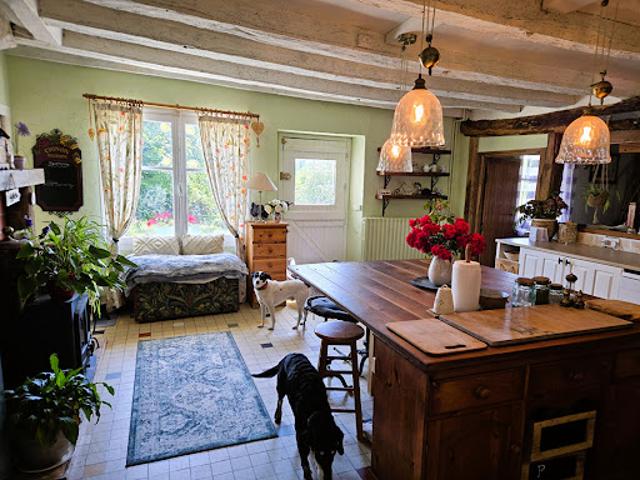 Vente Propriété 8 pièces 215 m2 Archigny