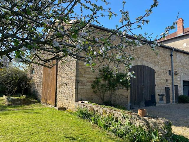 Vente Propriété 8 pièces 221 m2 Senozan