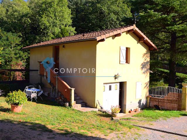 Vente Propriété 9 pièces 155 m2 Vals les Bains