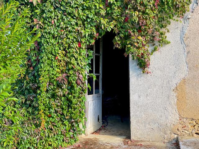 Vente Propriété 9 pièces 315 m2 Riguepeu