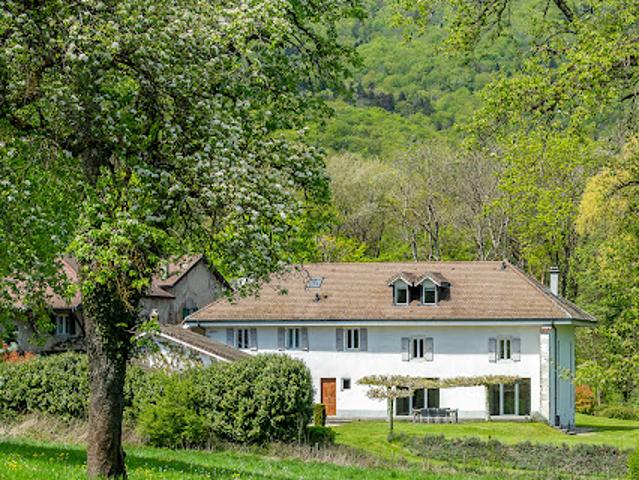 Vente Propriété 9 pièces 378.78 m2 Divonne les Bains